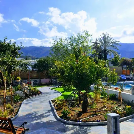Orchard Bloom With Pool And Jacuzzi Villa Karavas (Northern Cyprus)